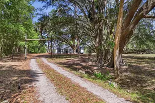 22130 NW 75th Ave Rd, Micanopy, FL 32667 - Photo 5
