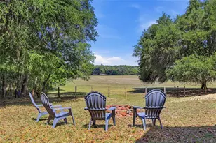 22130 NW 75th Ave Rd, Micanopy, FL 32667 - Photo 35