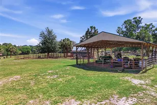 22130 NW 75th Ave Rd, Micanopy, FL 32667 - Photo 43