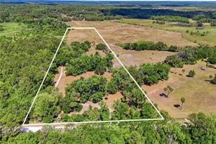 22130 NW 75th Ave Rd, Micanopy, FL 32667 - Photo 49