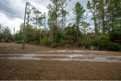 5829 Bryce Street, Keystone Heights, FL 32656 - Photo 7