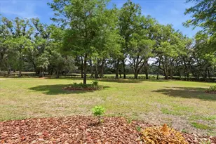 7369 NW 187 Terrace, Alachua, FL 32615 - Photo 51