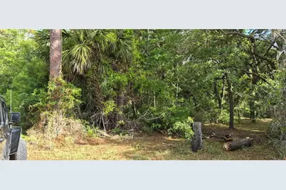 9351 NW 120th Street, Chiefland, FL 32626 - Photo 1