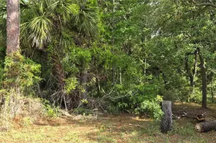 9351 NW 120th St, Chiefland, FL 32626 - Photo 1