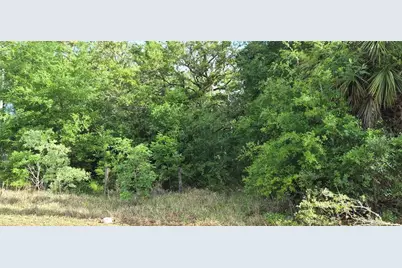 9351 NW 120th Street, Chiefland, FL 32626 - Photo 3