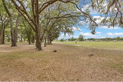 6689 SE 55th Street, Trenton, FL 32693 - Photo 45