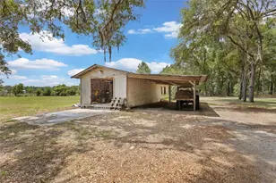 6689 SE 55th St, Trenton, FL 32693 - Photo 57