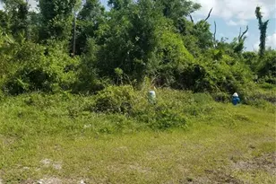 21 Milwaukee Ave, Palm Coast, FL 32137 - Photo 1