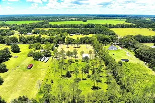 14421 NW 214th Terrace, High Springs, FL 32643 - Photo 37