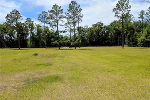 14421 NW 214th Terrace, High Springs, FL 32643 - Photo 47