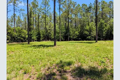 14421 NW 214th Terrace, High Springs, FL 32643 - Photo 45