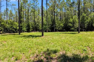 14421 NW 214th Terrace, High Springs, FL 32643 - Photo 45