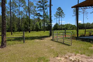 14421 NW 214th Terrace, High Springs, FL 32643 - Photo 41