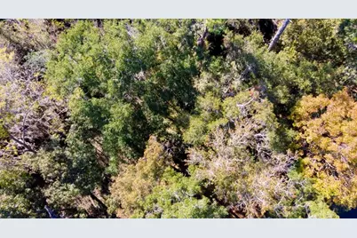 1723 NW 14th Avenue, Gainesville, FL 32605 - Photo 3