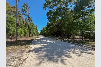 4497 NE 142nd Avenue, Williston, FL 32696 - Photo 13