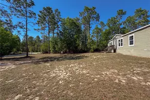 4497 NE 142 Ave, Williston, FL 32696 - Photo 11