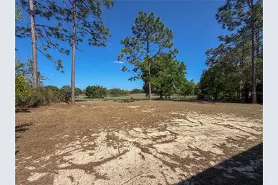 4497 NE 142nd Avenue, Williston, FL 32696 - Photo 7