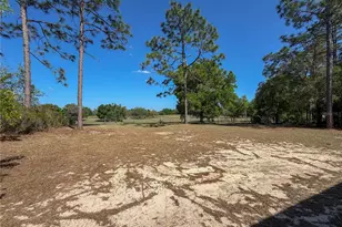 4497 NE 142 Ave, Williston, FL 32696 - Photo 7