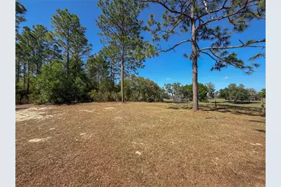 4497 NE 142nd Avenue, Williston, FL 32696 - Photo 9
