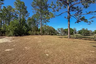 4497 NE 142 Ave, Williston, FL 32696 - Photo 9