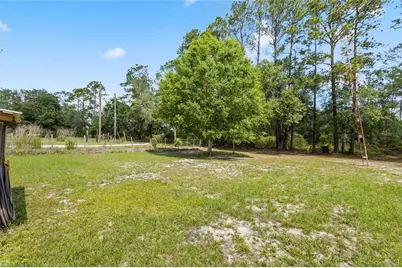 11115 SW 105th Street, Brooker, FL 32622 - Photo 5