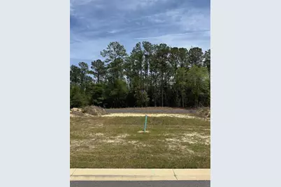 1047 SW 147th Terrace, Newberry, FL 32669 - Photo 5
