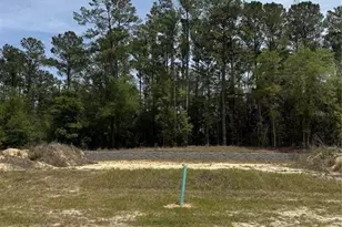 1047 SW 147th Terrace, Newberry, FL 32669 - Photo 5