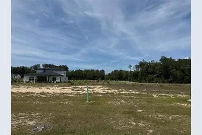 14772 SW 11th Place, Newberry, FL 32669 - Photo 5