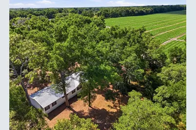 7651 NW 153rd Lane, Chiefland, FL 32626 - Photo 39