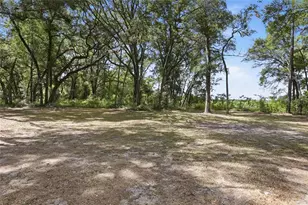 7651 NW 153rd Ln, Chiefland, FL 32626 - Photo 35