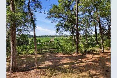 7651 NW 153rd Lane, Chiefland, FL 32626 - Photo 37