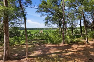7651 NW 153rd Ln, Chiefland, FL 32626 - Photo 37