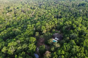 22731 NW 91st Court Rd, Micanopy, FL 32667 - Photo 53
