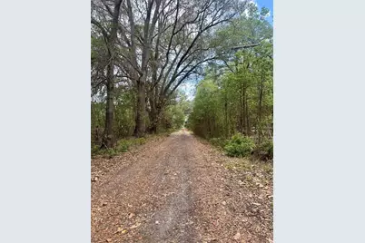 13647 NE 141st Drive, Waldo, FL 32694 - Photo 3