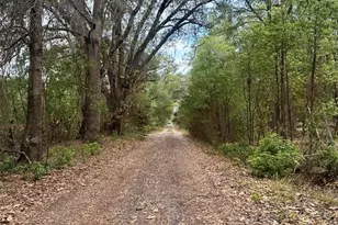 13647 NE 141st Dr, Waldo, FL 32694 - Photo 3