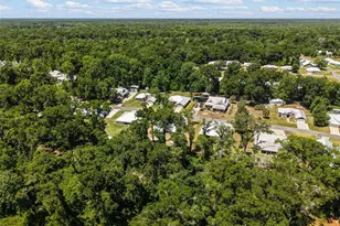9100 Dorie Dr, Trenton, FL 32693 - Photo 83