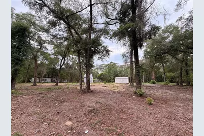 117 Breezy Oak Lane, Fort Mc Coy, FL 32134 - Photo 5