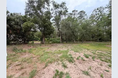 117 Breezy Oak Lane, Fort Mc Coy, FL 32134 - Photo 11