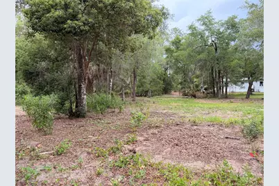 117 Breezy Oak Lane, Fort Mc Coy, FL 32134 - Photo 9