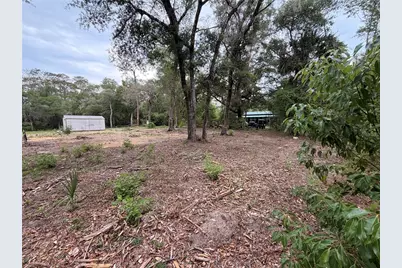 117 Breezy Oak Lane, Fort Mc Coy, FL 32134 - Photo 3