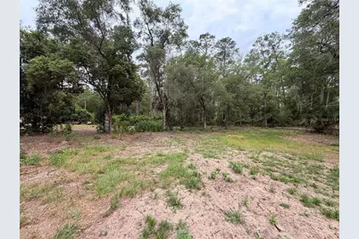 117 Breezy Oak Lane, Fort Mc Coy, FL 32134 - Photo 11