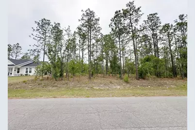 Tbd NE 150th , Lot 10 Avenue, Williston, FL 32696 - Photo 1