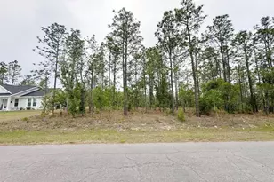 Tbd NE 150th Lot 10 Ave, Williston, FL 32696 - Photo 1