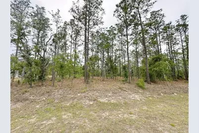 Tbd NE 150th , Lot 10 Avenue, Williston, FL 32696 - Photo 3