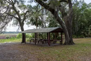 4950 SW 80th St, Chiefland, FL 32626 - Photo 67
