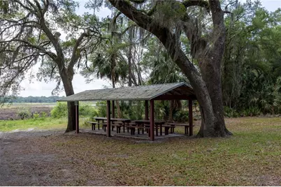 4950 SW 80th Street, Chiefland, FL 32626 - Photo 65