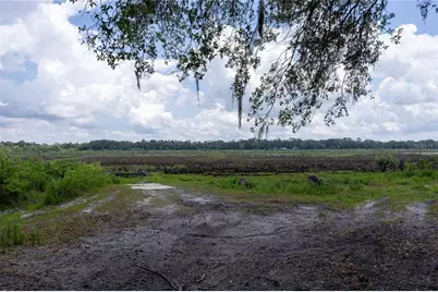 4950 SW 80th Street, Chiefland, FL 32626 - Photo 67