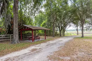 4950 SW 80th St, Chiefland, FL 32626 - Photo 65