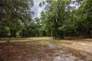 4950 SW 80th St, Chiefland, FL 32626 - Photo 45