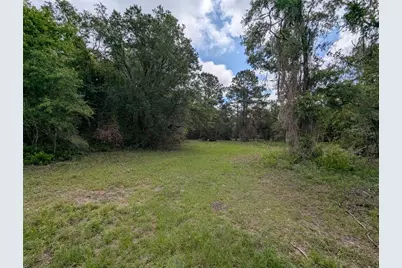 91st Street, Alachua, FL 32615 - Photo 15